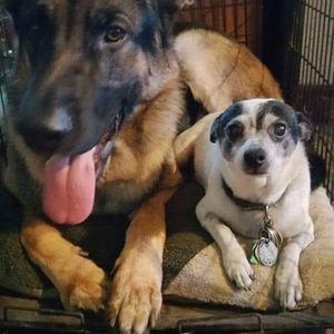 Meet your Posher, Cheryl